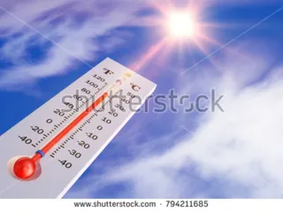 Half Moon Collectibles