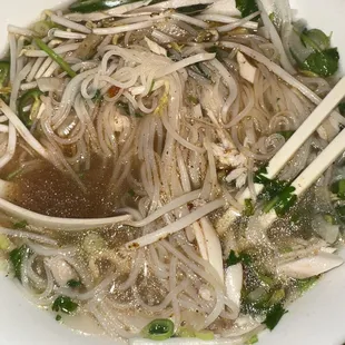 Chicken Noodle Soups