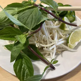 Thai Basil &amp; Bean Sprout