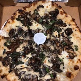 White Wild Mushroom Pizza