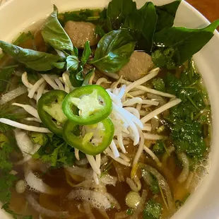 Pho combo with all the meats