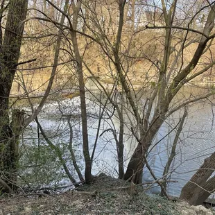 a view of a river and trees