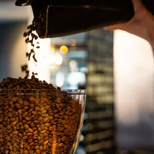 a person pouring coffee into a blender