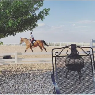 Newly renovated outdoor ring with updated footing.