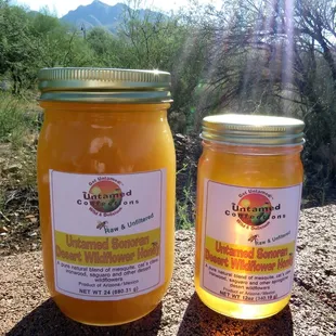 Sonoran Desert Honey, raw and unfiltered!