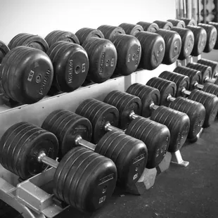 Dumbbells from 5-155 lbs