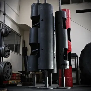 Logs from 55 lbs - 285 lbs