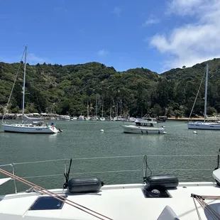 Angel Island, Ayala Cove Anchorage and Buoy Field