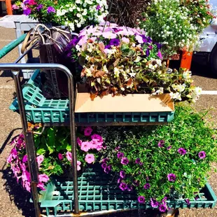 a cart full of flowers
