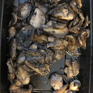 Funghi (Mushrooms)