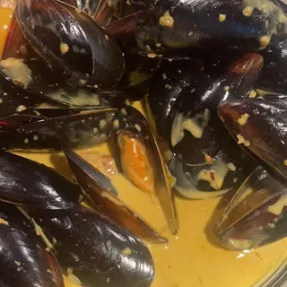 Saffron Mussel