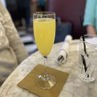 mimosa