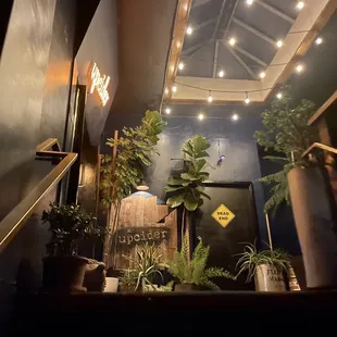 sushi and sashimi, interior