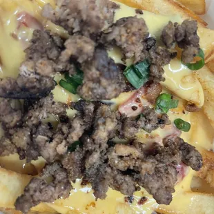 Cheese fries with seasoned beef