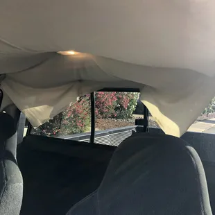 Bat ears in the back