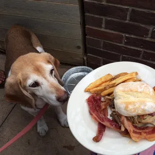 Pulled Pork Sandwich