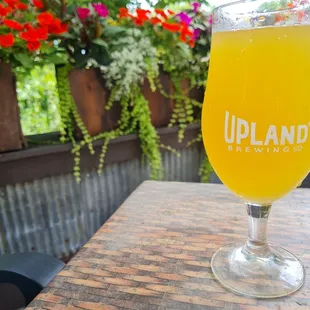 a glass of beer on a table