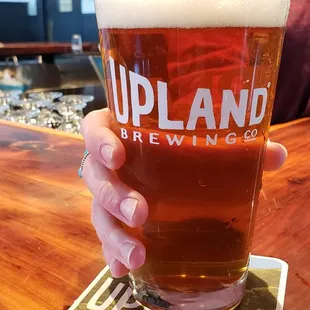 Dragonfly IPA - Indiana's #1 selling IPA