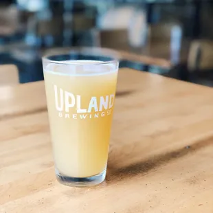 Patio Cat - summer ale with guava