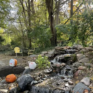 So peaceful on this back patio area