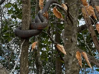 Beaverdam Ranger Station