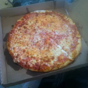 Large Extra Cheese Pizza.