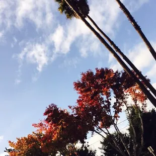 a view of a parking lot