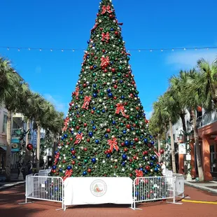 Enjoy the beautiful view in December when eating outside