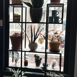 Beautiful display