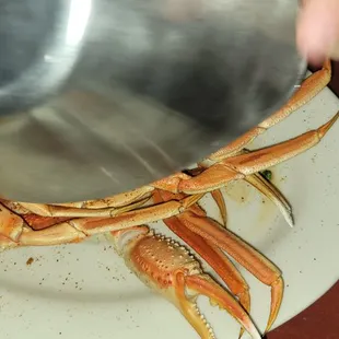 sashimi, sushi, sushi and sashimi, food