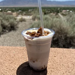 Turtle shake - hmmmm good