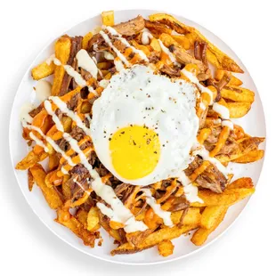 a plate of fries with a fried egg on top
