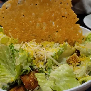 Cesar Salad
