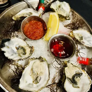 Half dozen oysters