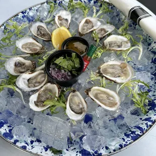 Oysters