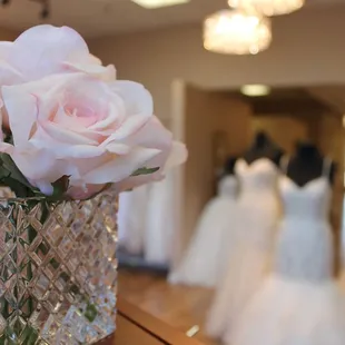 Named one of best bridal shops in Albuquerque, see how different wedding dress shopping can be