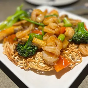 Pan Fried Crispy Noodles