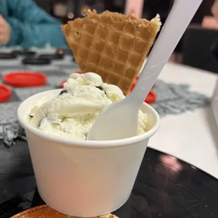 Choco chip single scoop