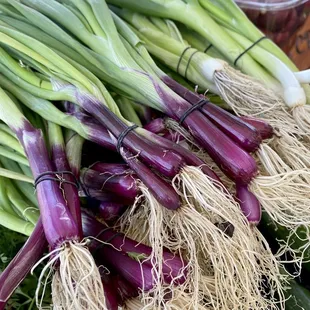 Purple scallion