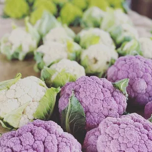 Colorful cauliflower
