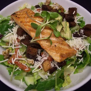 Salmon