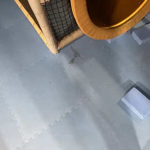 Stains in the toddler area