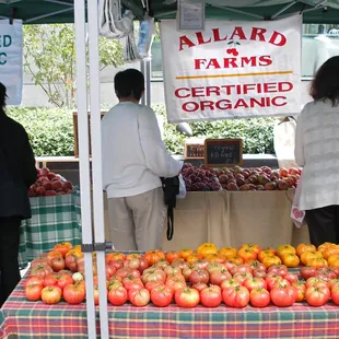  table of apples and oranges