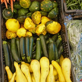  variety of vegetables