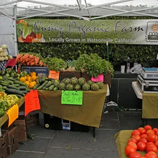  variety of vegetables
