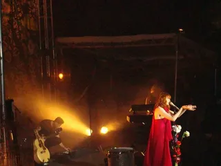 Minnesota Zoo Amphitheater