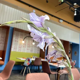 interior, sushi and sashimi