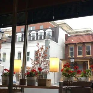 View looking out from the street