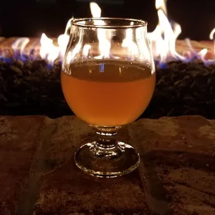 Delicious orange cat IPA