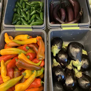 a variety of vegetables in plastic containers